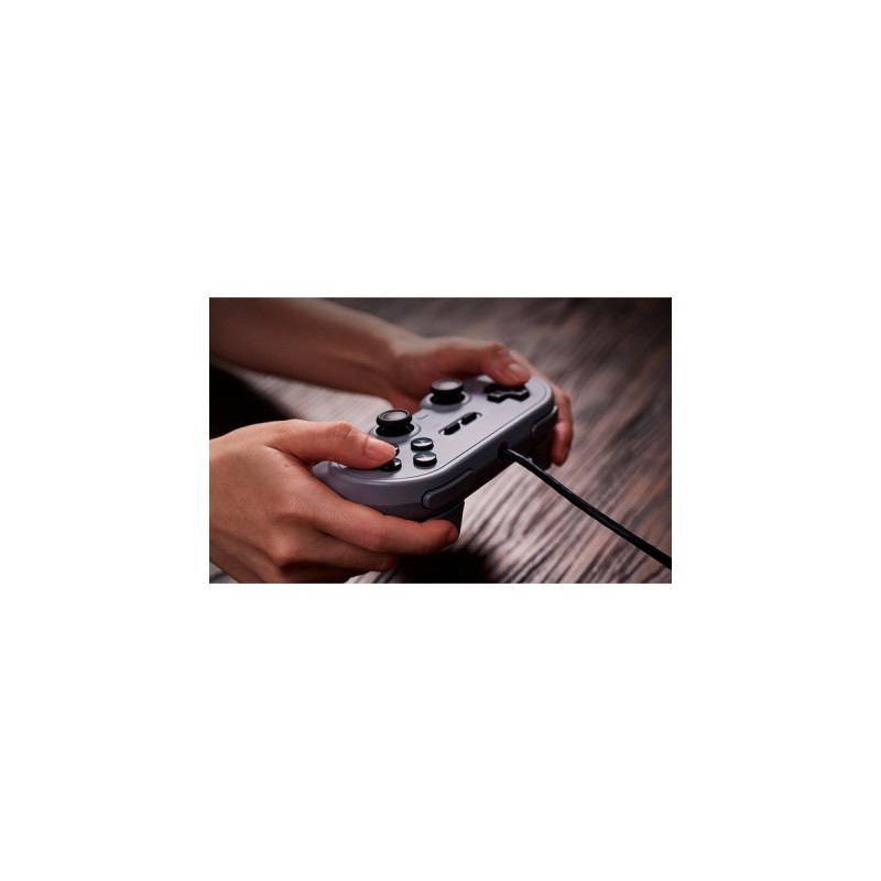 8BitDo Pro 2 Wired PS, Gamepad(grau)