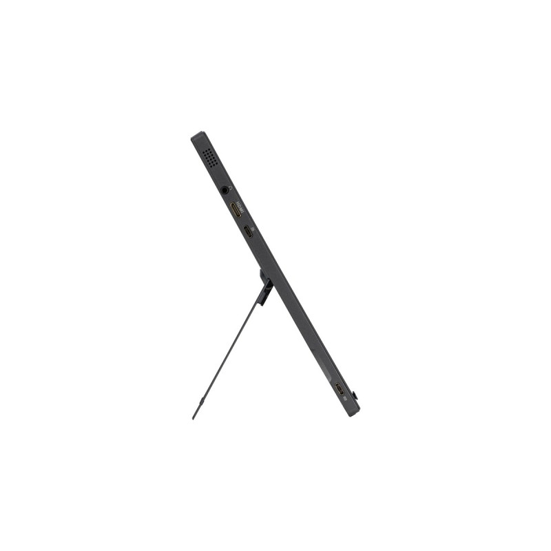 ASUS MB16AWP, LED-Monitor(40 cm (16 Zoll), schwarz, FullHD, IPS, USB-C, Mini HDMI, Klinke)