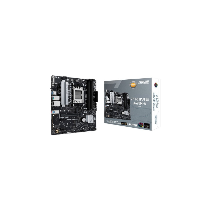 ASUS PRIME A620M-A-CSM, Mainboard