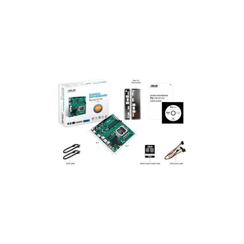 ASUS PRO H610T D4-CSM, Mainboard