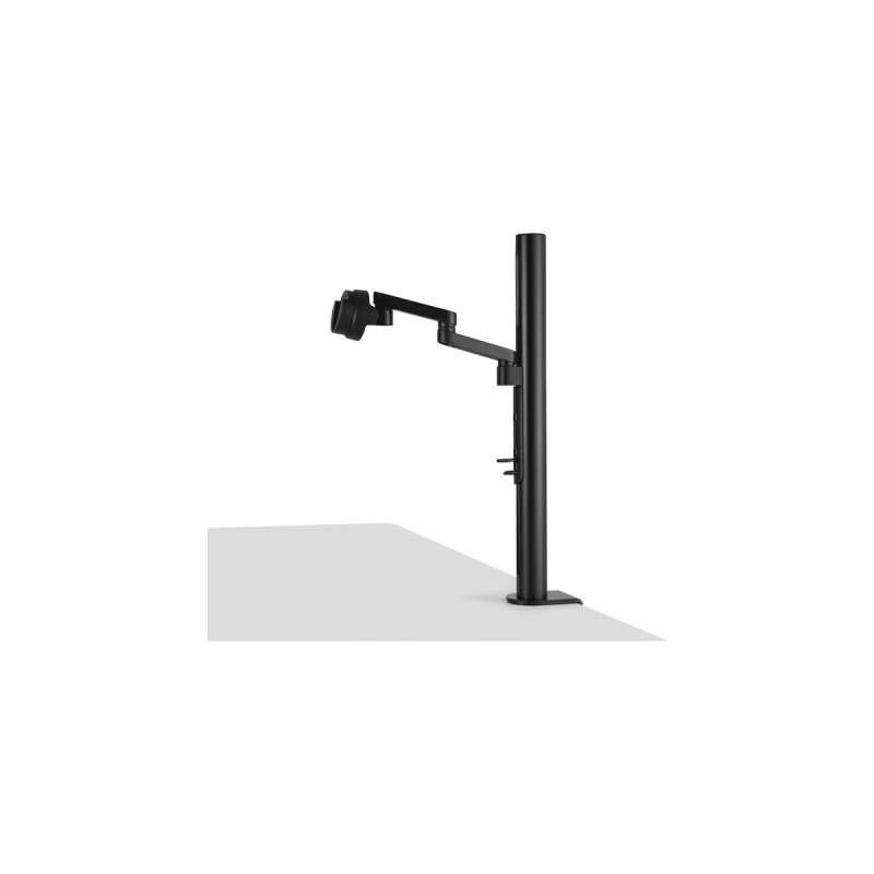 ASUS ZenScreen MB249C, LED-Monitor(61 cm (24 Zoll), schwarz, FullHD, IPS, USB-C)