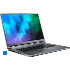 Acer Predator Triton 500 SE (PT516-52s-72R8), Gaming-Notebook(grau, Windows 11 Home 64-Bit, 40.6 cm (16 Zoll) & 240 Hz Display, 1 TB SSD)