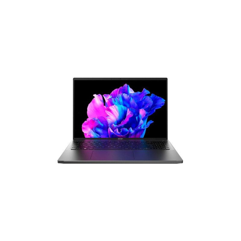 Acer Swift Go (SFG16-71-78CN), Notebook(silber, Windows 11 Home 64-Bit, 40.6 cm (16 Zoll), 512 GB SSD)