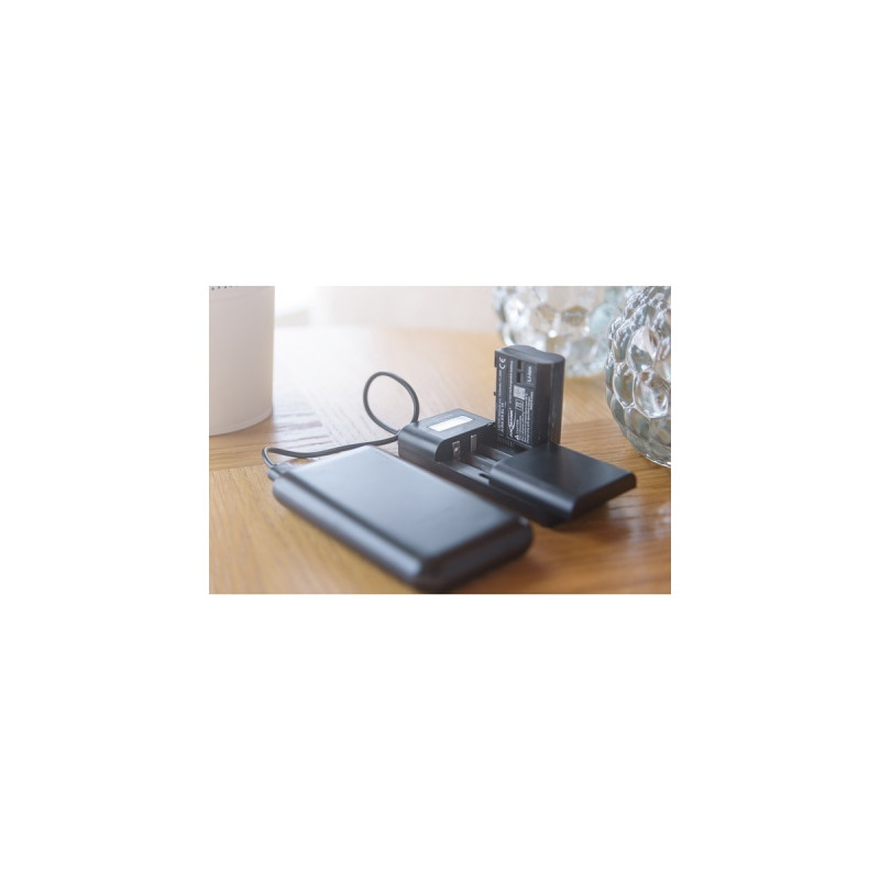 Ansmann Powerline Vario X, Ladegerät(schwarz)