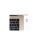 Apple MacBook Air (15