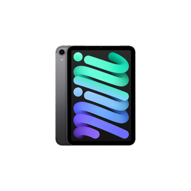 Apple iPad mini 256GB, Tablet-PC(grau, 5G, Gen 6 / 2021)
