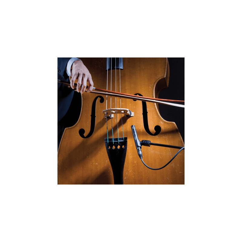 Audio-Technica AT2031, Mikrofon(schwarz)