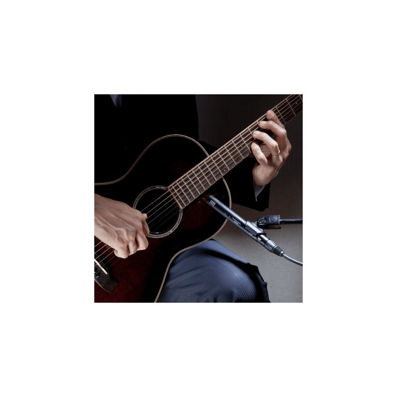 Audio-Technica AT2031, Mikrofon(schwarz)