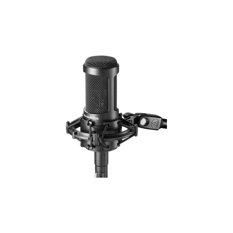Audio-Technica AT2050, Mikrofon(schwarz)