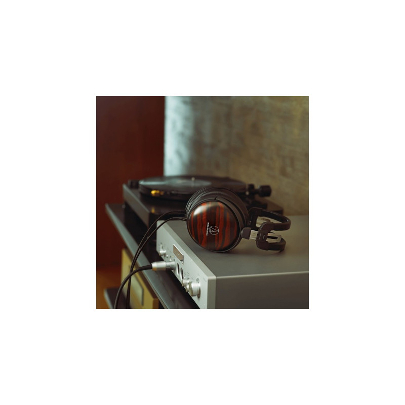 Audio-Technica ATH-AWKT/f, Kopfhörer(schwarz, Klinke)