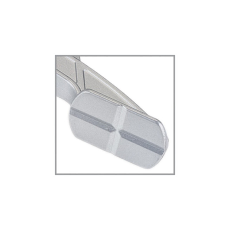 BESSEY Hebelzwinge KliKlamp KLI30(silber/schwarz, 300 / 80)