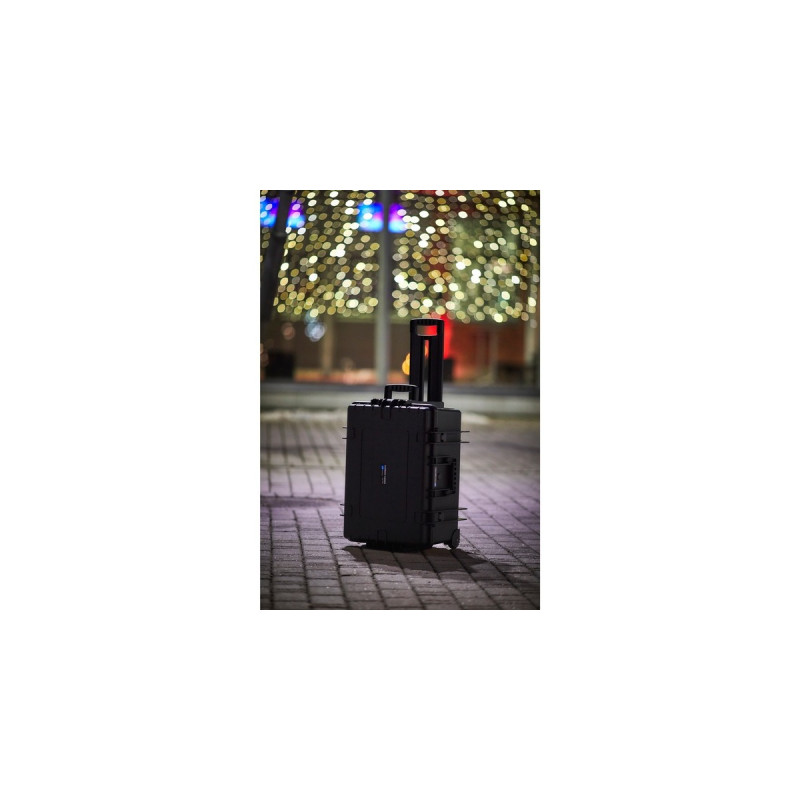 B&W outdoor.case Typ 6800, Koffer(schwarz)