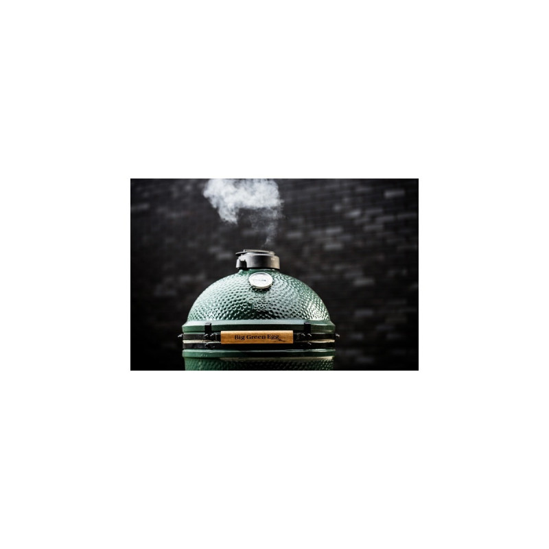 Big Green Egg Medium, Starter-Paket, Holzkohlegrill(grün, Ø 40cm)