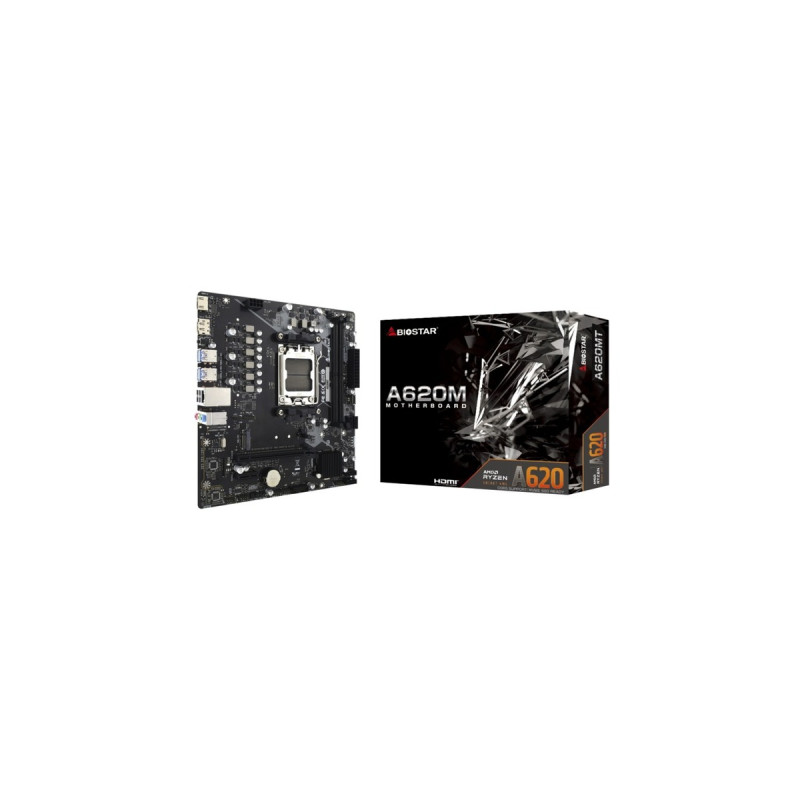 Biostar A620MT, Mainboard