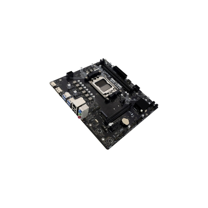 Biostar A620MT, Mainboard