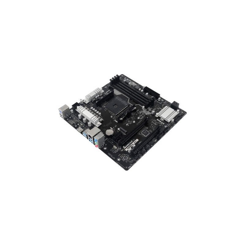 Biostar B450MX-S, Mainboard