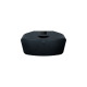 Bluesound Pulse Mini 2i, Lautsprecher(schwarz, WLAN, Bluetooth, Alexa, AirPlay 2)