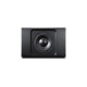 Bluesound Pulse Sub+, Lautsprecher(schwarz)