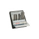 Bosch Robust Line Stichsägeblatt-Satz Metal Expert, 10-teilig