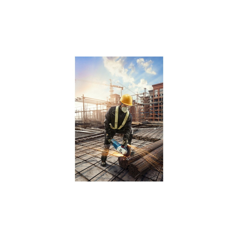 Bosch Winkelschleifer GWS 30-230 PB Professional(blau/schwarz, 2.800 Watt)