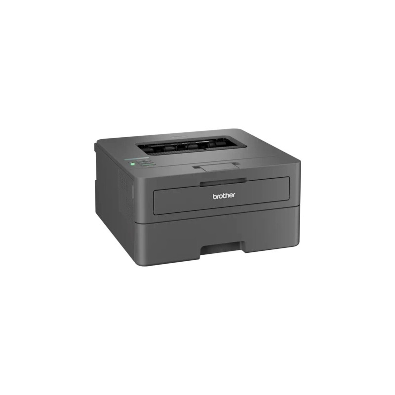 Brother HL-L2400DWE, Laserdrucker(dunkelgrau, USB, WLAN, EcoPro)
