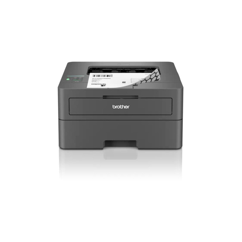 Brother HL-L2400DW, Laserdrucker(dunkelgrau, USB, WLAN)