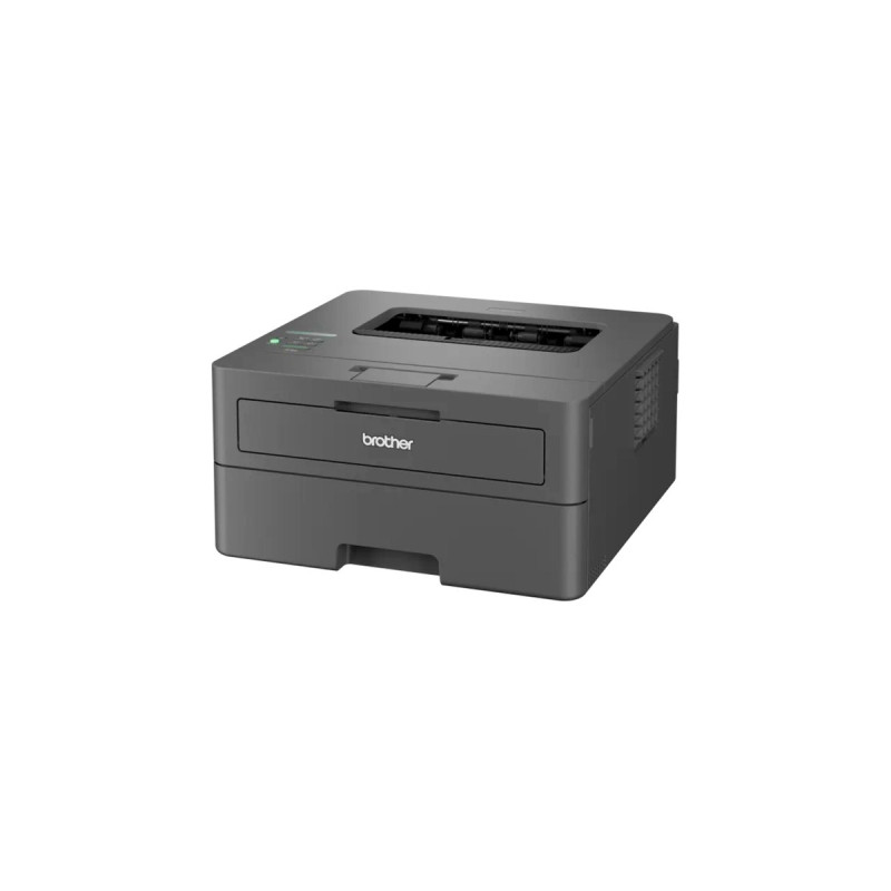 Brother HL-L2445DW, Laserdrucker(dunkelgrau, USB, LAN, WLAN)