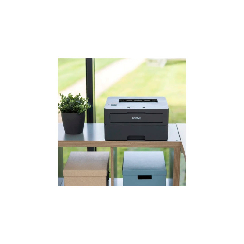 Brother HL-L2445DW, Laserdrucker(dunkelgrau, USB, LAN, WLAN)