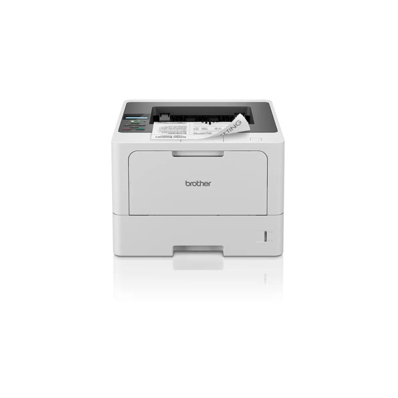 Brother HL-L5210DN, Laserdrucker(grau, USB, LAN)