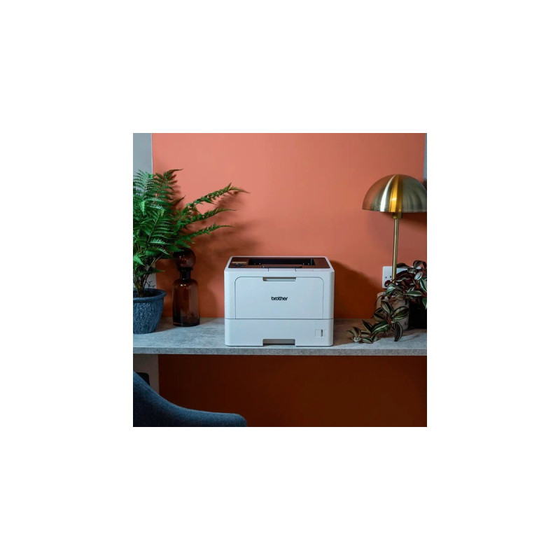 Brother HL-L5210DW, Laserdrucker(grau, USB, LAN, WLAN)