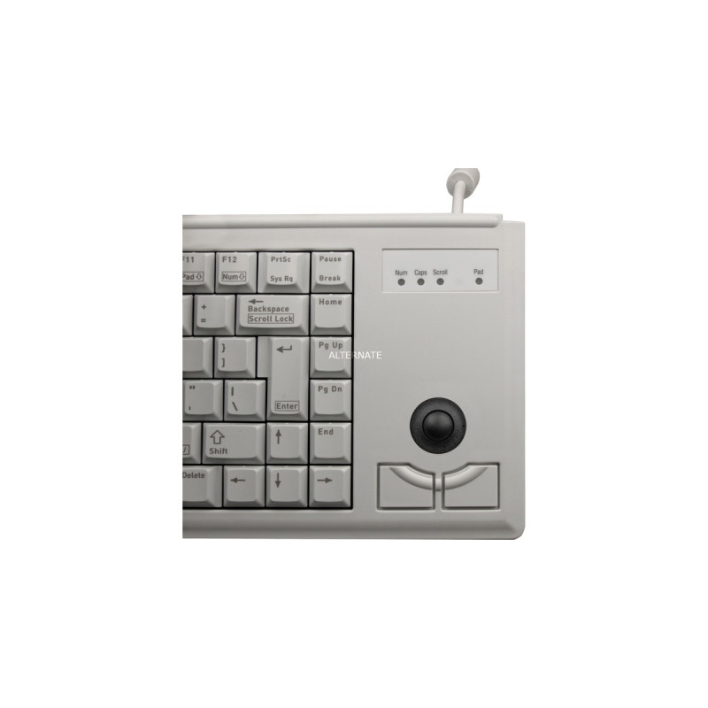 CHERRY Compact-Keyboard G84-4400, Tastatur(hellgrau, US-Layout, Cherry Mechanisch, integr. Trackball)