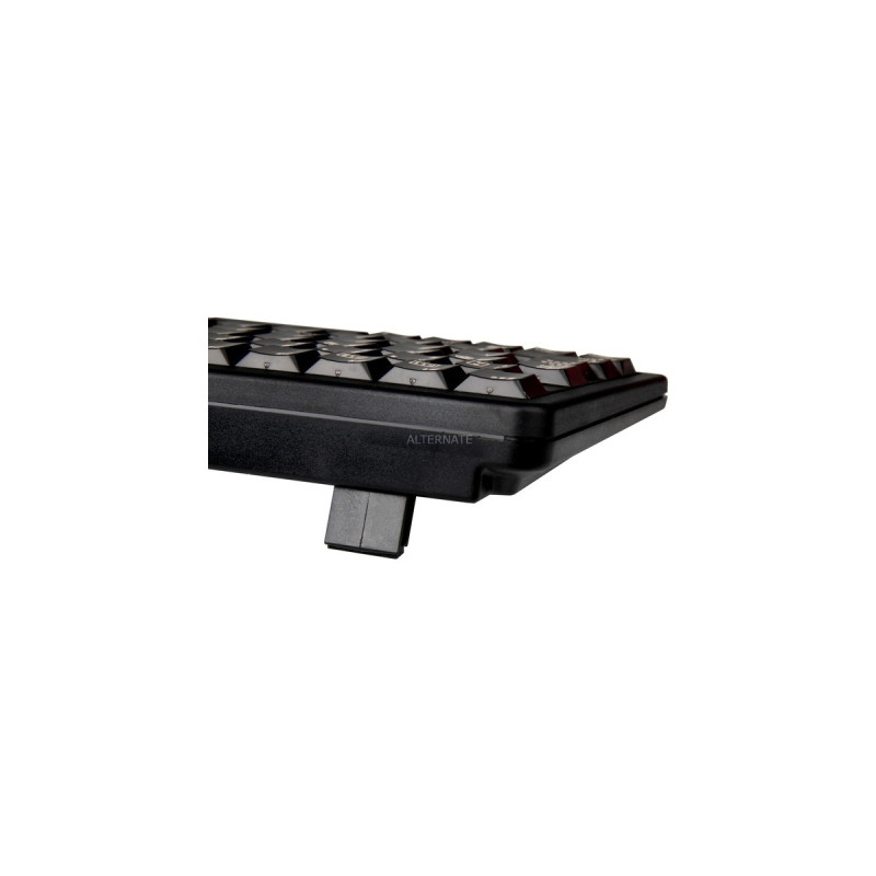 CHERRY Slim G84-4100 Flach, Tastatur(schwarz, DE-Layout, Cherry Mechanisch)
