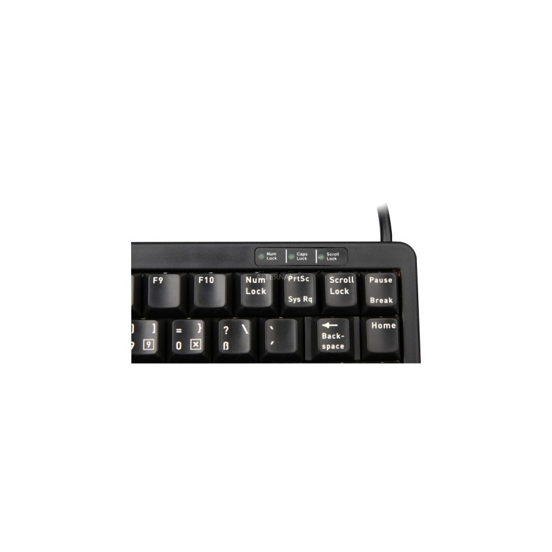 CHERRY Slim G84-4100 Flach, Tastatur(schwarz, DE-Layout, Cherry Mechanisch)