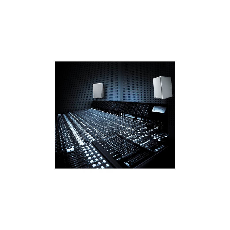 Canton AM 5, Lautsprecher(weiß, Einzellautsprecher)