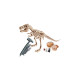 Clementoni Ausgrabungs-Set T-Rex & Fossil Modellier-Set, Experimentierkasten