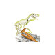 Clementoni Ausgrabungs-Set Velociraptor, Experimentierkasten