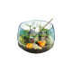 Clementoni Harry Potter - Terrarium, Experimentierkasten
