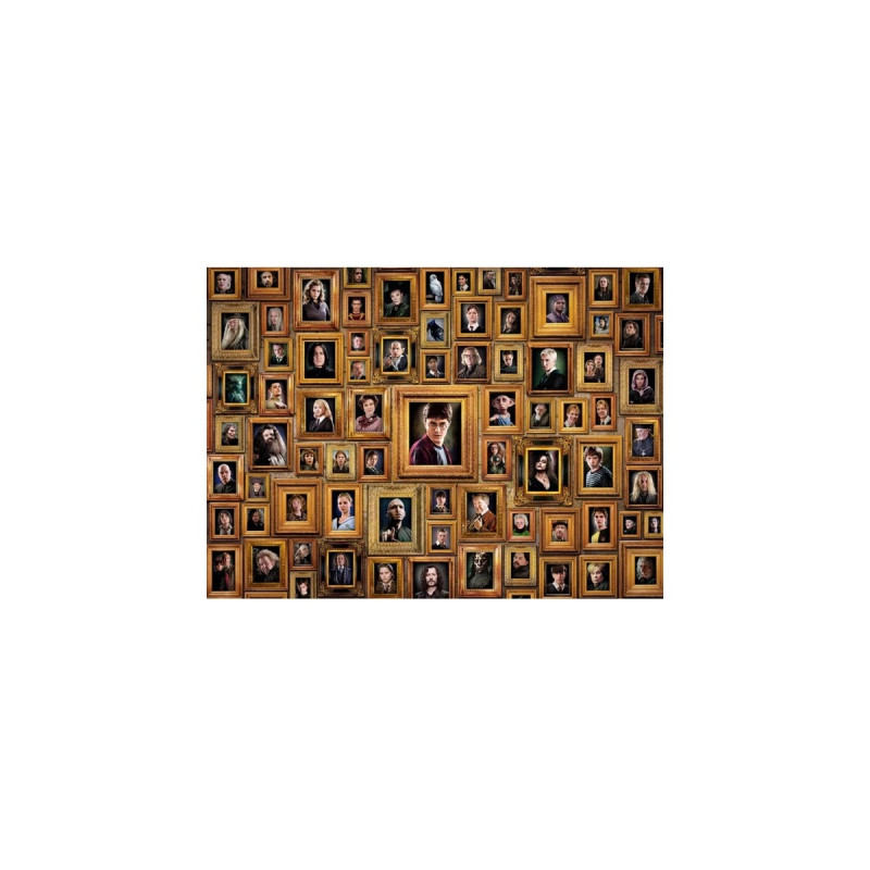 Clementoni Impossible Puzzle! - Harry Potter(1000 Teile)