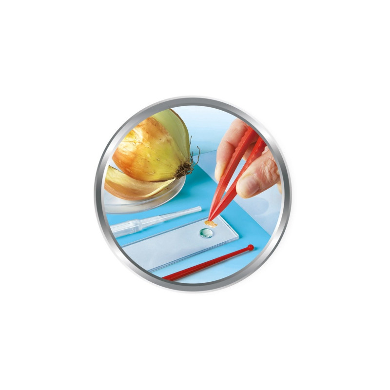 Clementoni Natur unter dem Mikroskop, Experimentierkasten