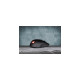 Corsair HARPOON RGB Pro, Gaming-Maus(schwarz)