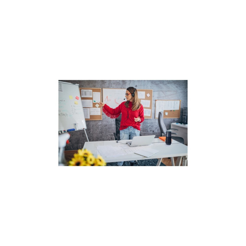 Creative Live! Meet 4K, Webcam(schwarz, 4K,4 omnidirektionale Mikrofone)