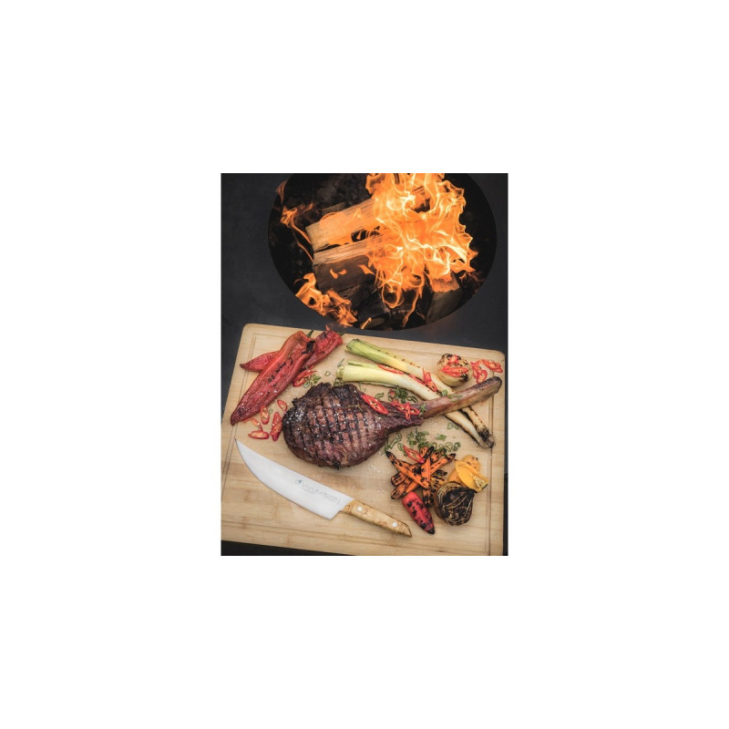 DICK VIVUM BBQ Messer ASADOR, 22cm(holz)