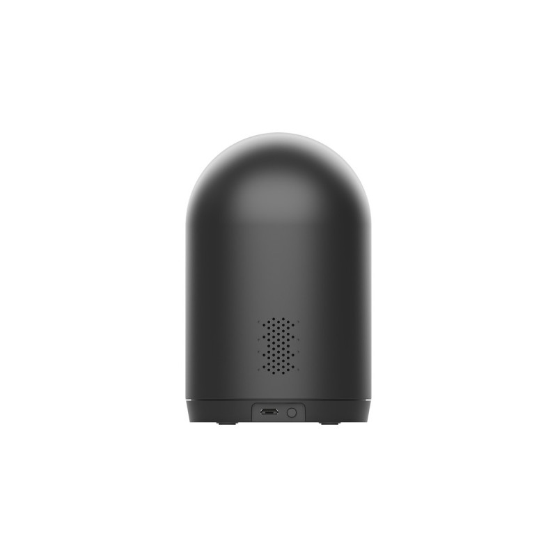 D-Link DCS-6500LH, Überwachungskamera(schwarz, WLAN, 2 Megapixel)