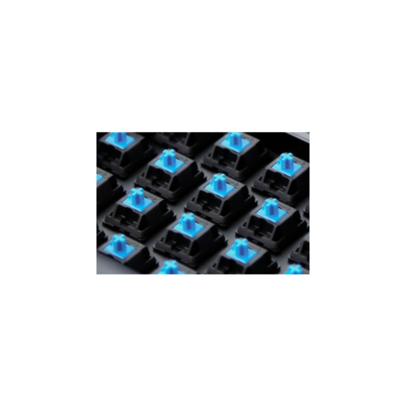 Das Keyboard 4 Professional Mac, Gaming-Tastatur(schwarz, US-Layout, Cherry MX Blue)