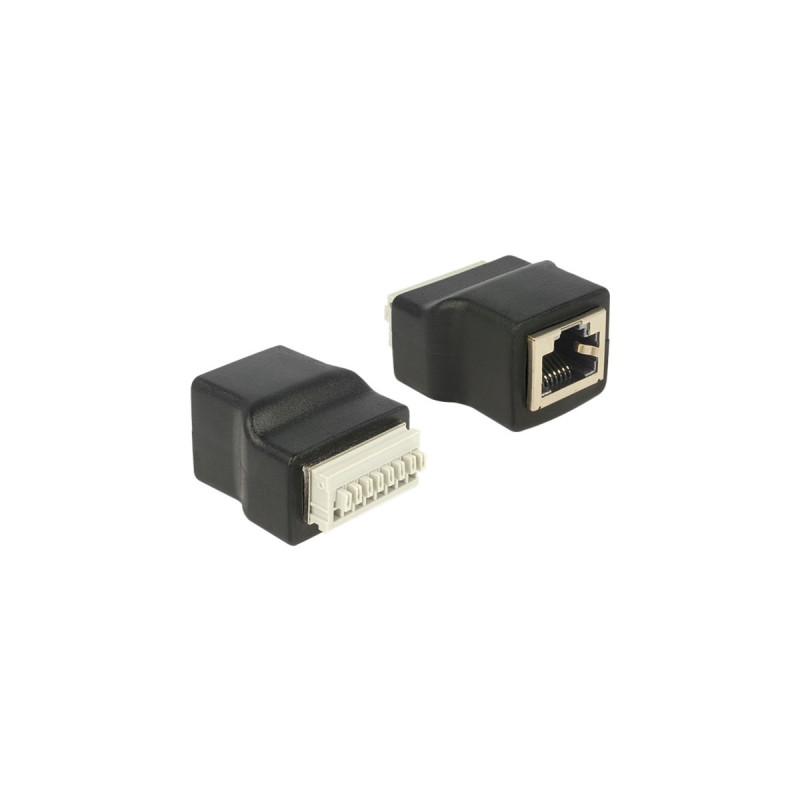 DeLOCK Adapter R-J45 Buchse - Terminalblock(schwarz)
