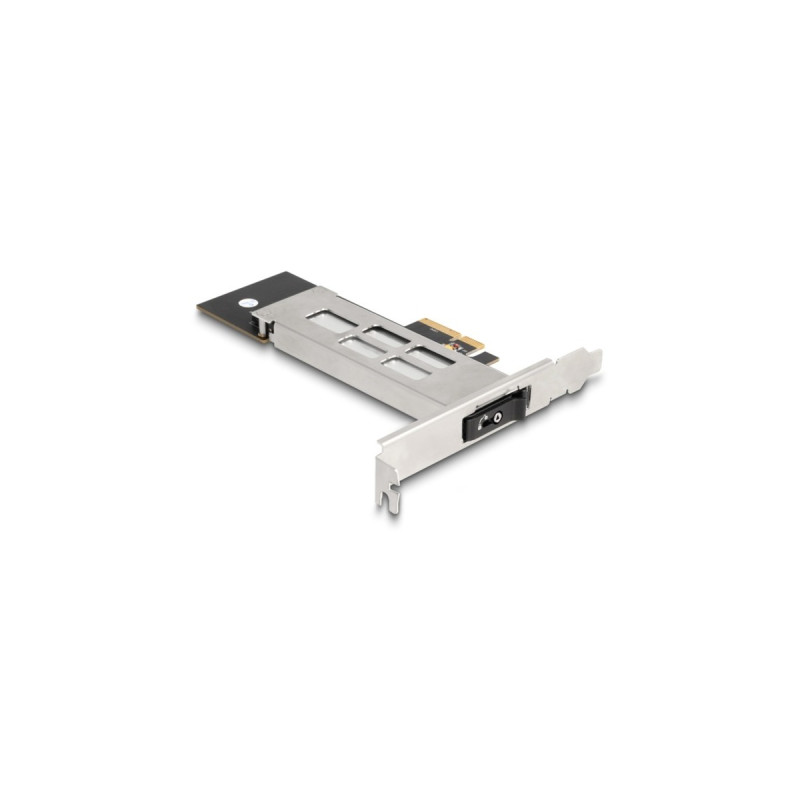 DeLOCK DeLock Wechselrahmen PCI Express Karte für 1 x M.2 NMVe SSD, Schnittstellenkarte