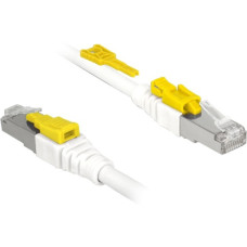 DeLOCK Kabel RJ45 Secure Cat.6A(weiß, 2 Meter, verriegelbar, LSOH Halogenfrei)