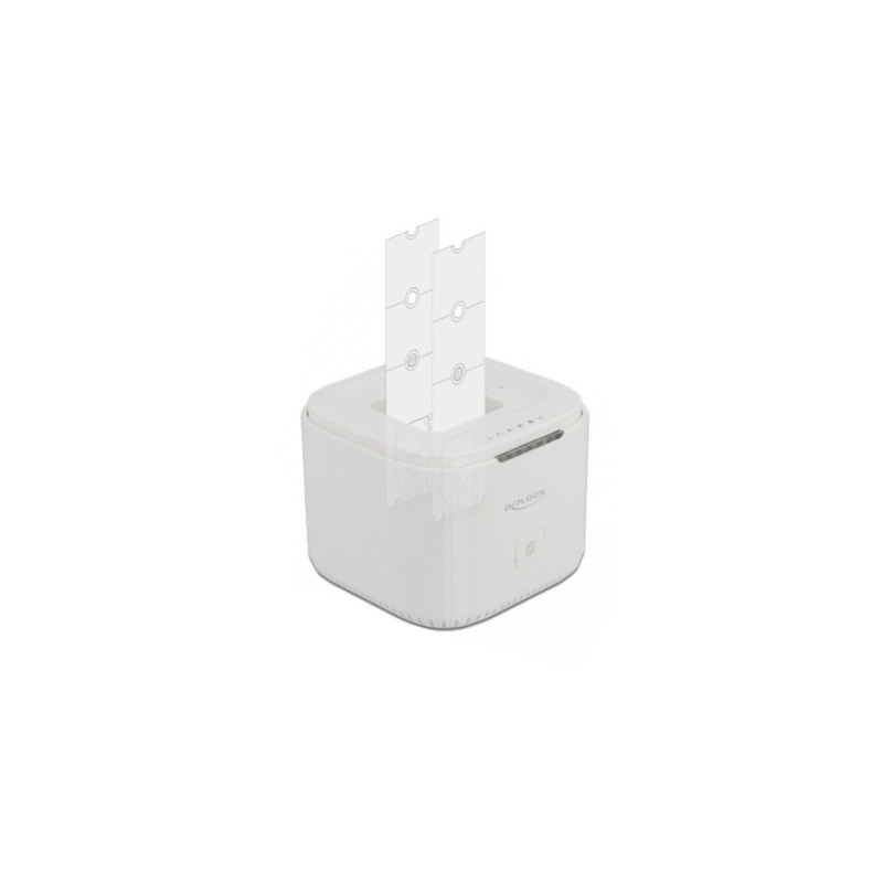 DeLOCK M.2 Dockingstation(weiß, für 2 x M.2 NVMe PCIe SSD)