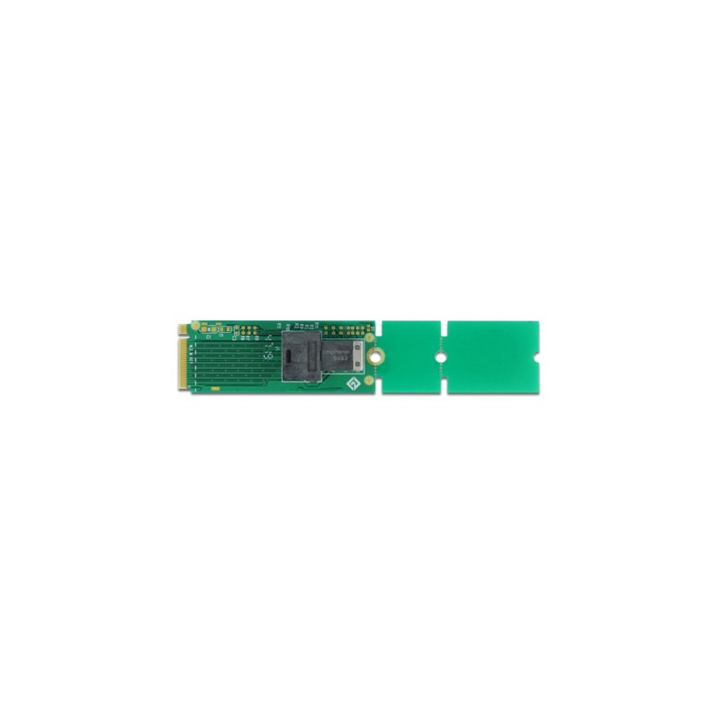DeLOCK M.2 Key M zu SFF-8643 NVMe 22110 / 2280 / 2260, Schnittstellenkarte
