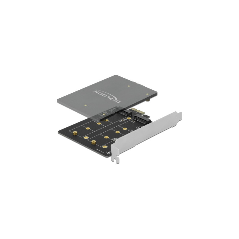 DeLOCK PCI Express x1 Karte zu 2 x intern M.2 Key B, Adapter